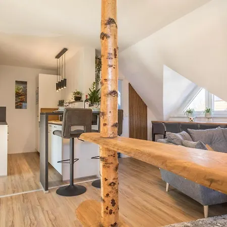 Apartamento Heimelig In Oberschwaben *